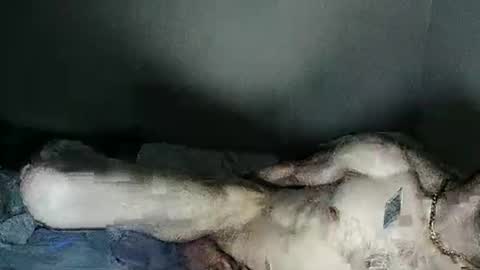 Snapshot of fetishsearch1abdl chatting on February 27, 6:18 am fetishsearch1abdl online show from February 27, 6:18 am