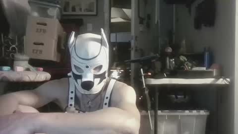 Snapshot of fetishsearch1abdl chatting on September 28, 7:25 am fetishsearch1abdl online show from September 28, 7:25 am