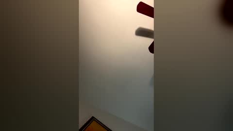 fettybetty777 online show from March 3, 3:56 am