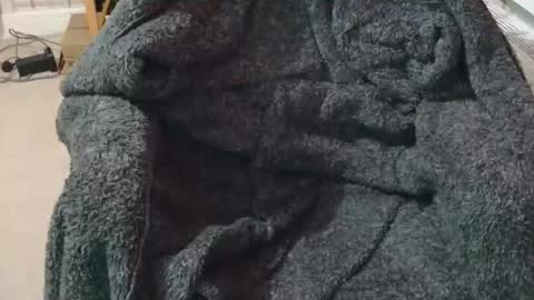 ffys2025 online show from February 13, 9:22 pm