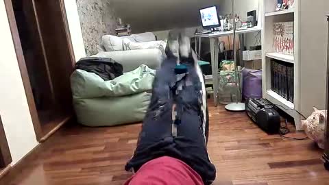 Fid online show from February 9, 8:45 pm