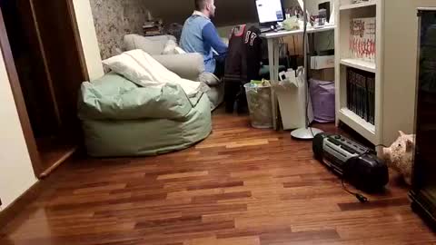 Fid online show from February 17, 8:58 pm