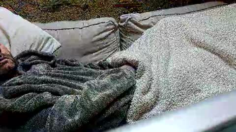 Fid online show from February 24, 1:31 pm