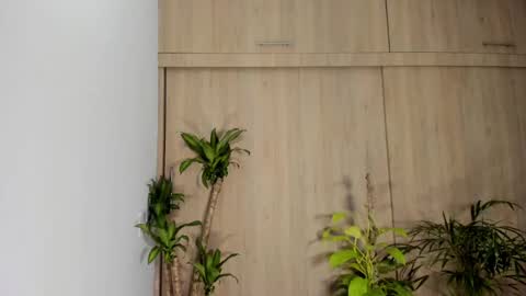 filletatouee online show from November 16, 1:44 am