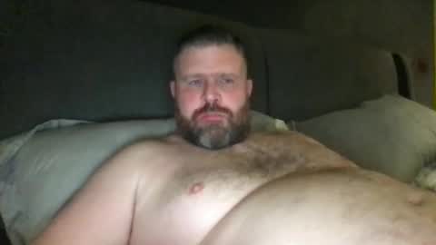 Snapshot of fin_dom_bear chatting on November 23, 2:00 am fin bear dom online show from November 23, 2:00 am