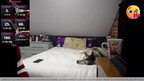 Snapshot of fionna_fineas chatting on March 30, 1:17 am Fionna online show from March 30, 1:17 am
