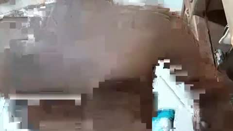 fitchestabs_69 online show from December 7, 3:25 am