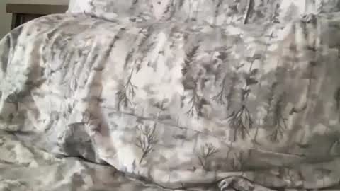 Snapshot of fitcollegestudxx chatting on February 17, 7:21 pm FitCollegeStudxx online show from February 17, 7:21 pm