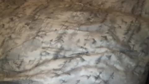 Snapshot of fitcollegestudxx chatting on February 25, 3:42 am FitCollegeStudxx online show from February 25, 3:42 am