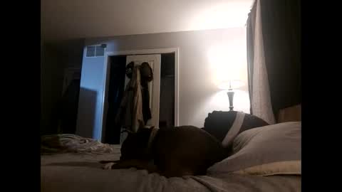 Snapshot of fkmylife6669 chatting on November 2, 4:48 am Nate online show from November 2, 4:48 am