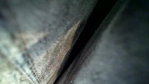 flash online show from February 28, 4:13 am