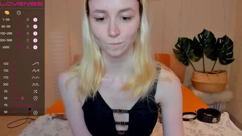 FlexiMona online show from December 8, 12:52 pm