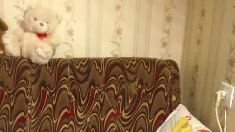 Snapshot of flowercandydoll chatting on February 27, 8:50 am say meow and send tip  online show from February 27, 8:50 am