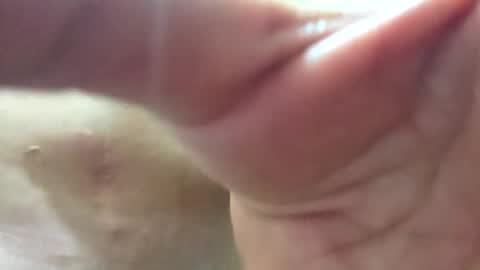 follador6543 online show from June 1, 12:56 am