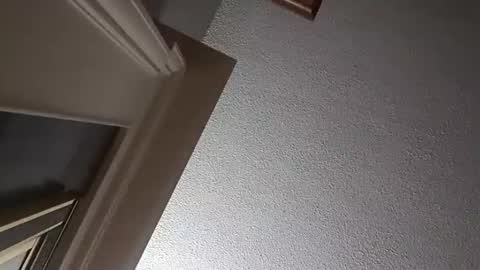 Have fun remembering u online show from October 2, 2:29 am