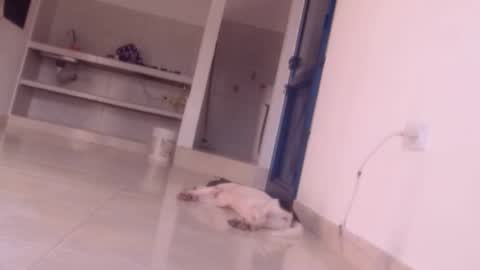 Snapshot of forbidden_games__ chatting on December 27, 10:05 pm emely and felix online show from December 27, 10:05 pm