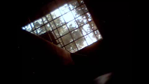 fra  71 online show from February 9, 6:17 am