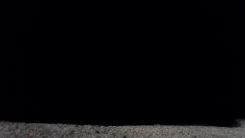 Snapshot of francescafey chatting on March 17, 6:50 am francescafey online show from March 17, 6:50 am