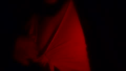 freaky_d48 online show from November 12, 9:32 am