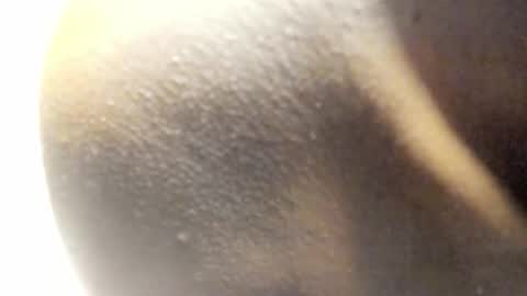 Kandy online show from March 14, 8:09 am