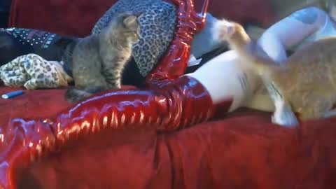 Snapshot of freakyspun101 chatting on January 13, 9:52 am freakyspun101 online show from January 13, 9:52 am