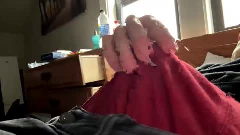 freezeskiii online show from November 18, 7:51 pm