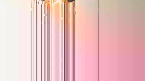 Snapshot of frenchcouple739 chatting on December 13, 4:38 pm frenchcouple739 online show from December 13, 4:38 pm