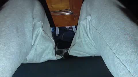 frenchpapalover online show from October 31, 8:48 am