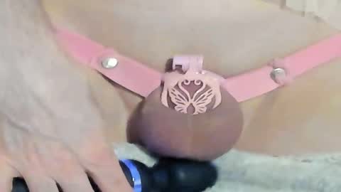 Meadow online show from December 28, 2:11 am