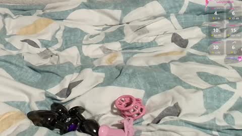 Meadow online show from February 27, 10:26 am