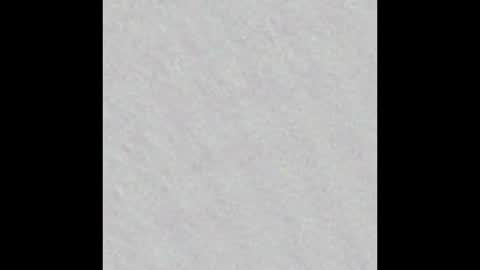 Snapshot of freya_stonee chatting on January 28, 11:17 am Freya online show from January 28, 11:17 am