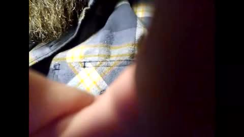 Snapshot of frickish chatting on February 5, 1:37 am Frickish online show from February 5, 1:37 am