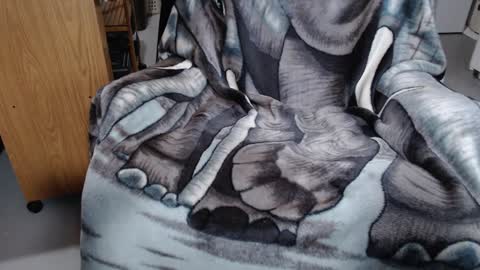 Froy4989 online show from January 7, 4:05 pm