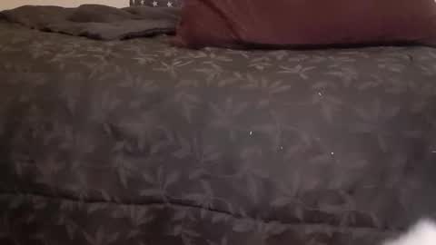 Pizzaz online show from January 14, 7:06 am