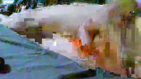 fultonstreet196860 online show from February 5, 3:00 am