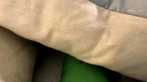 fun4him2018 online show from January 12, 5:40 pm