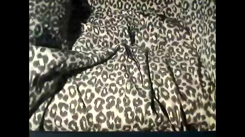 funcyman3 online show from February 18, 6:04 pm