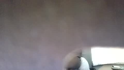 Snapshot of funsunny chatting on July 7, 11:47 am funsunny online show from July 7, 11:47 am