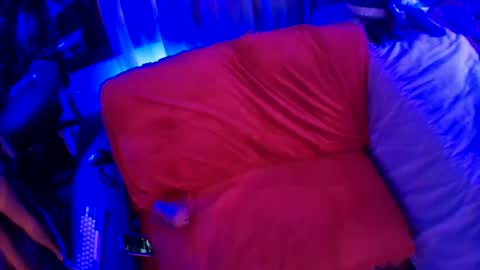 Snapshot of furby_chummies chatting on January 9, 10:52 am Valarie Iris Paige online show from January 9, 10:52 am