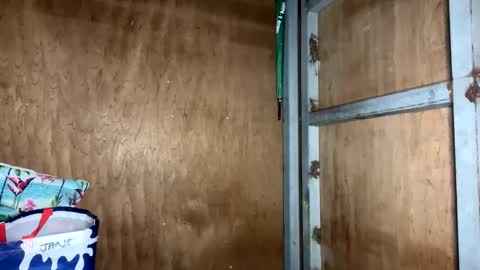 fvckingscarlet online show from November 23, 12:10 am