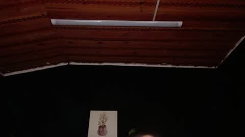 FIRE AND FOX online show from November 18, 6:56 pm