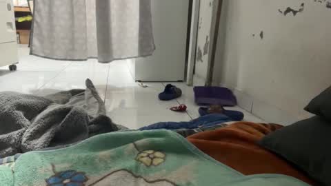 gab021593 online show from December 22, 1:30 pm