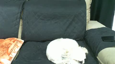 gaby  layla online show from January 21, 9:36 pm