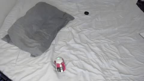 Snapshot of gabriel_olx chatting on January 24, 9:28 am gabriel online show from January 24, 9:28 am