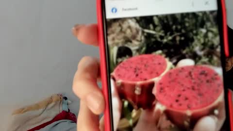 Snapshot of gabriela_duarte chatting on January 19, 12:50 pm Gabi online show from January 19, 12:50 pm