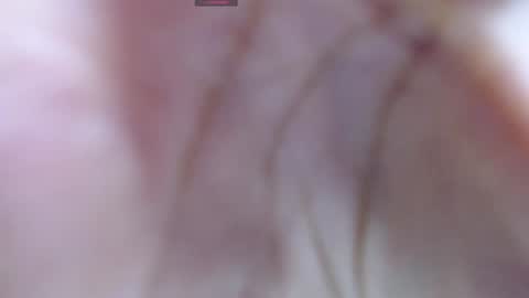 Snapshot of gabriela_morales01 chatting on December 12, 5:31 am .  online show from December 12, 5:31 am