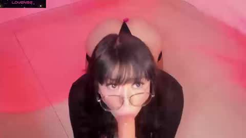 PROXIMO SHOW NOVIEMBRE 16   NEXT SHOW NOVEMBER  16    online show from September 19, 9:59 pm