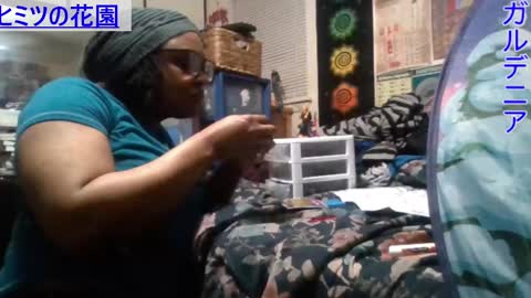 Gardenia online show from February 20, 5:12 am