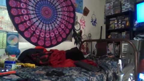 Gardenia online show from December 16, 7:24 am