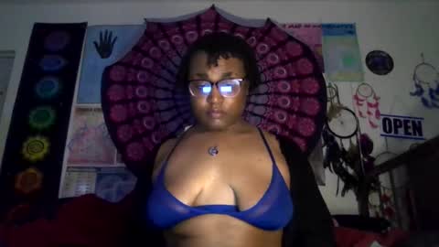 Gardenia online show from March 15, 8:31 am